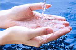 ׯ����Ϸ��ּ