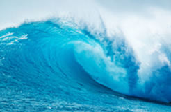 ׯ����Ϸ����